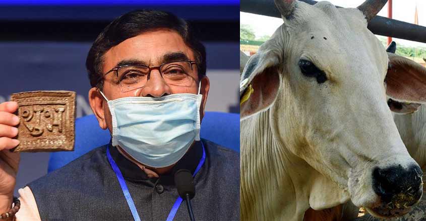 cow-dung-chip cow-dung-chip