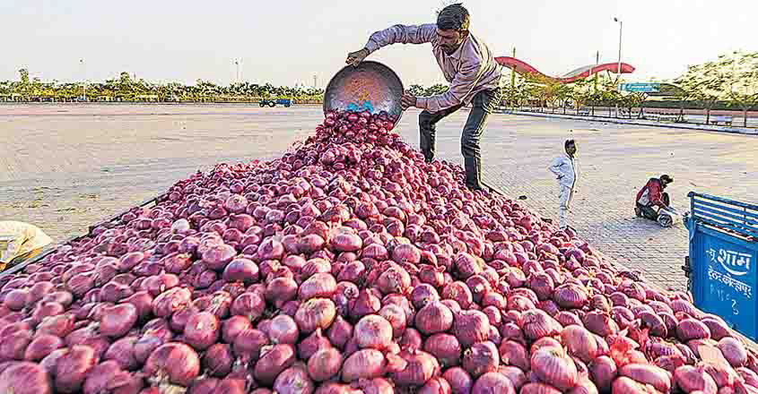 onion-wb onion-wb