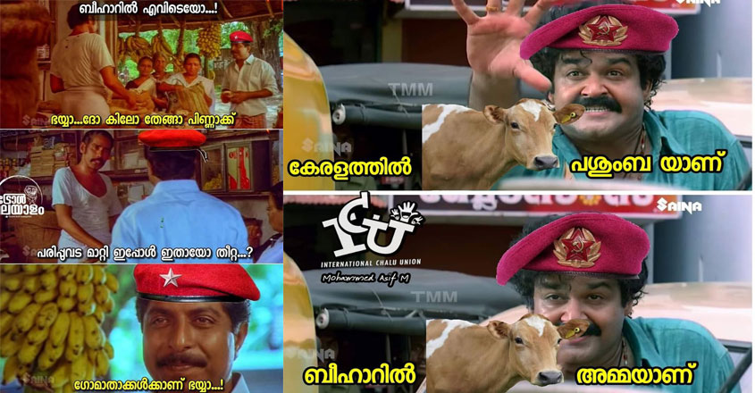 cpm-cow-troll-new cpm-cow-troll-new
