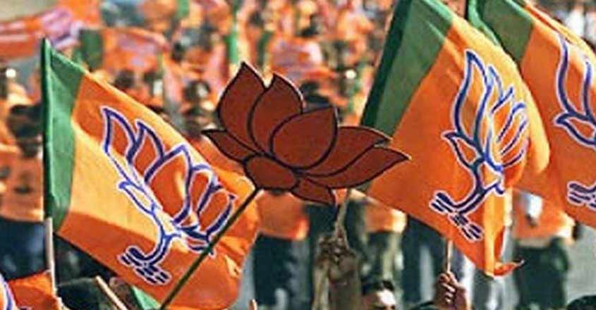 delhi-bjp-flag delhi-bjp-flag