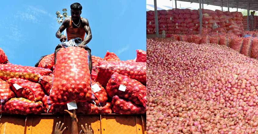 onion-lockdown-journey onion-lockdown-journey