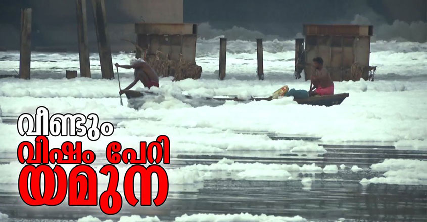 yamuna-29 yamuna-29
