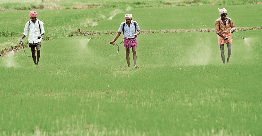 pesticides pesticides