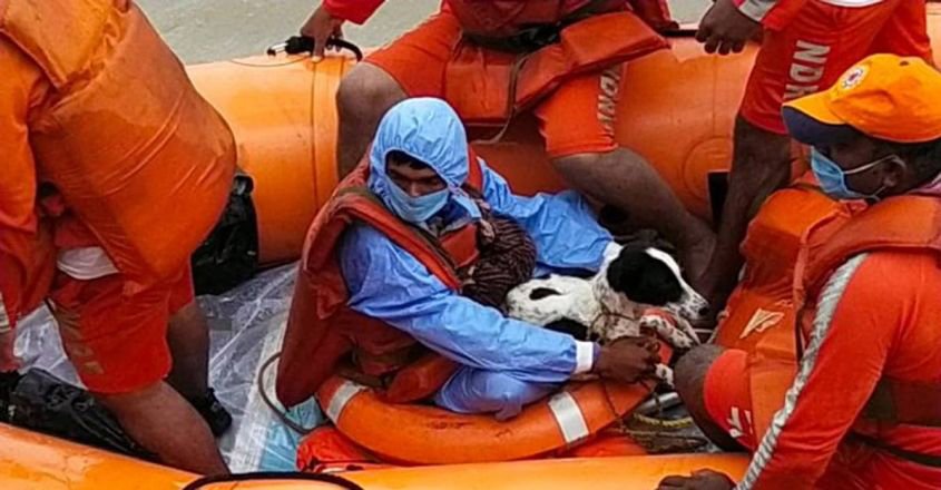 ndrf-boat ndrf-boat