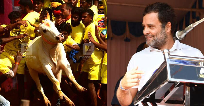 rahul-jellikettu rahul-jellikettu