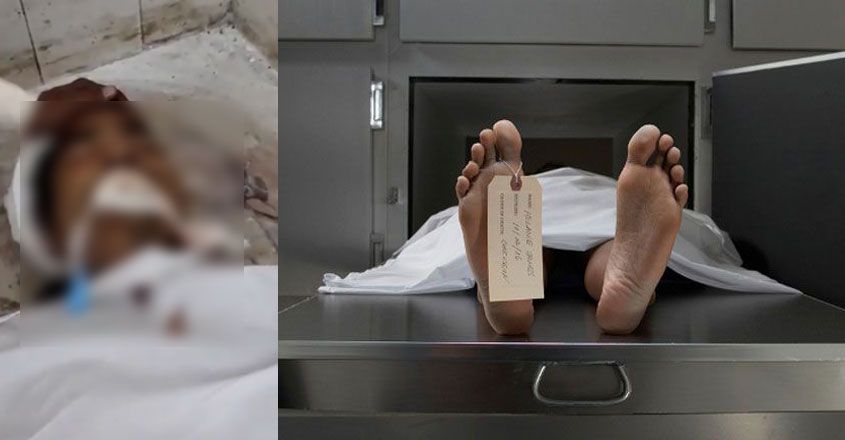 body-dead body-dead