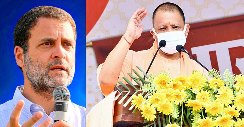 rahul-yogi rahul-yogi