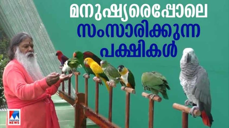 Guinius-Bird-Speaking