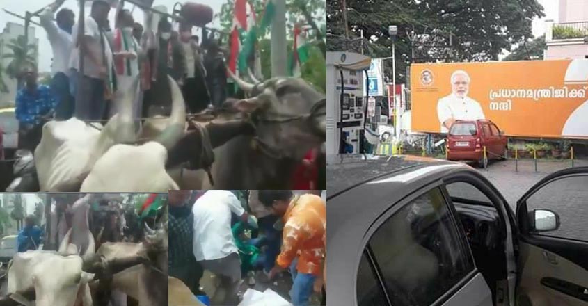 oil-price-congress-video