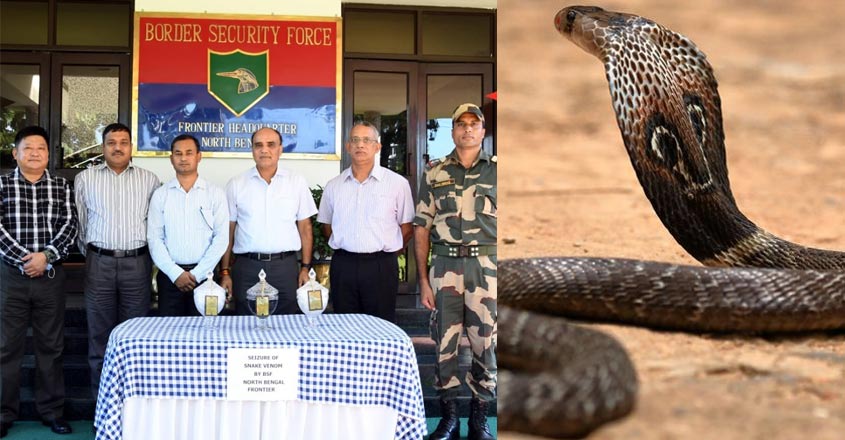 bsf-snake-post bsf-snake-post