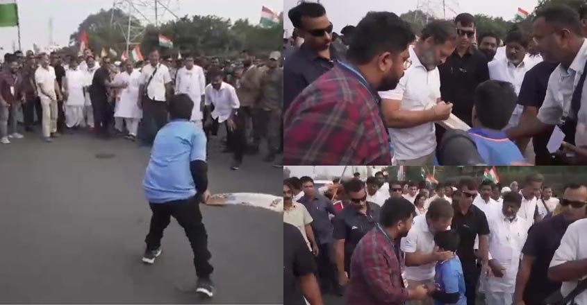 rahul-cricket