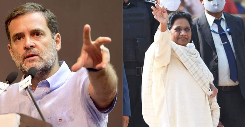 rahul-mayawati