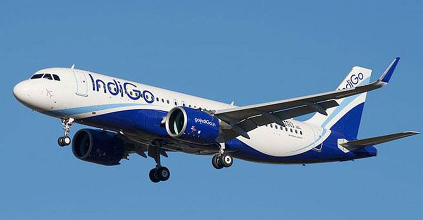 indigo indigo