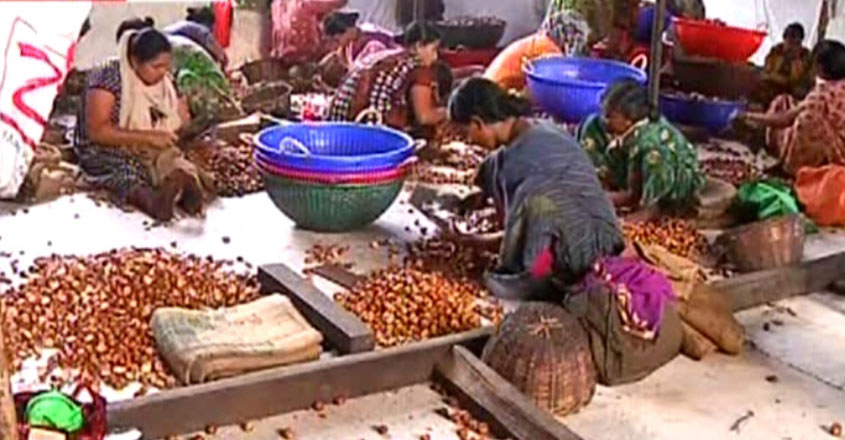 agriculture-sector-crisis-t