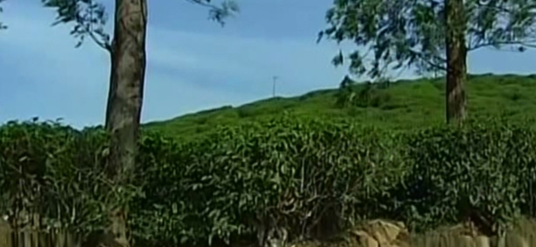 land-encroachment land-encroachment