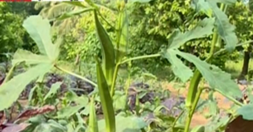 ekm-farm ekm-farm