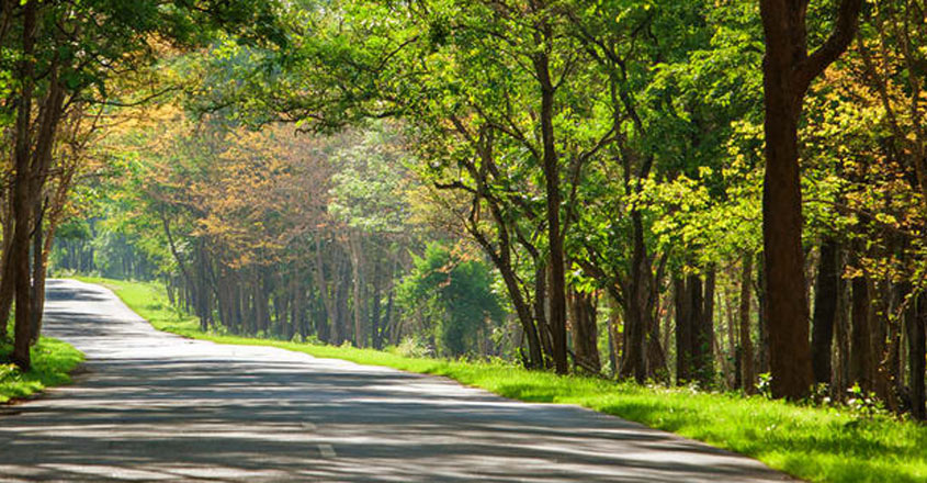 bandipur bandipur