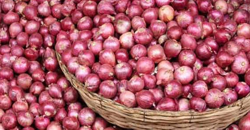 onion onion