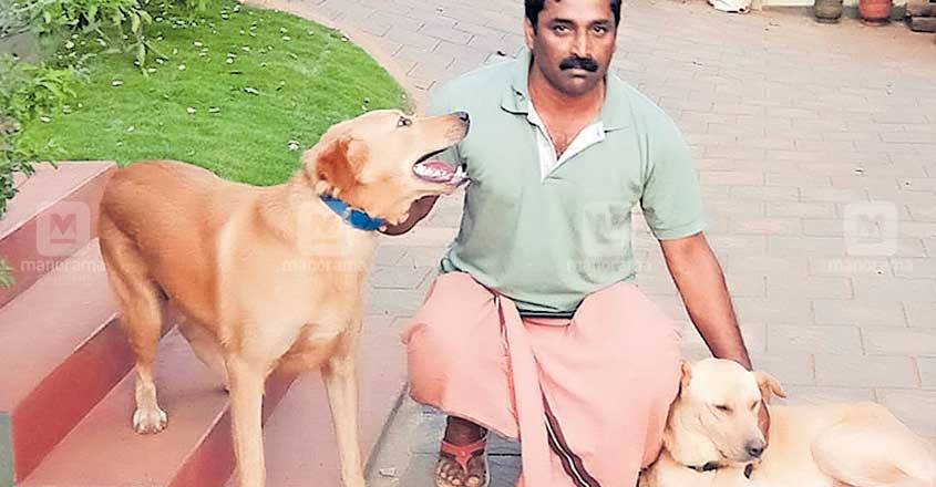 wayanad-gireesh-dogs