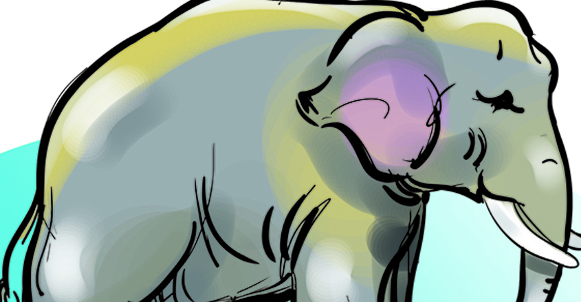 elephant-frightened elephant-frightened