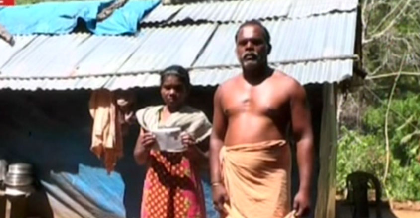 tribal-family tribal-family