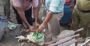 കണ്ണൂരിൽ പക്ഷിക്കൂട്ടിൽ സൂക്ഷിച്ചിരുന്ന ബോംബ് പൊട്ടിത്തെറിച്ച് രണ്ട് കുട്ടികൾക്ക് പരുക്ക് കണ്ണൂരിൽ പക്ഷിക്കൂട്ടിൽ സൂക്ഷിച്ചിരുന്ന ബോംബ് പൊട്ടിത്തെറിച്ച് രണ്ട് കുട്ടികൾക്ക് പരുക്ക്