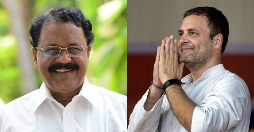 rahul-sreedharan-pillai