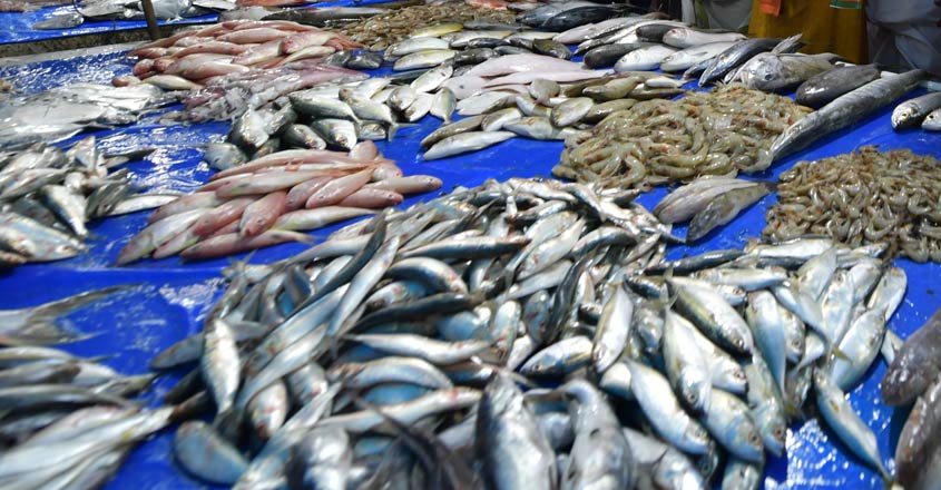 Alphons-Kannanthanam-seeking-vote-a