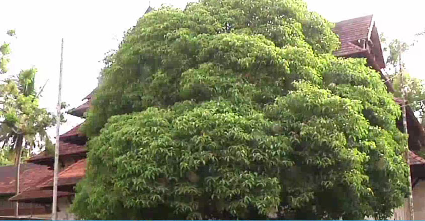 pooram-ilanji pooram-ilanji