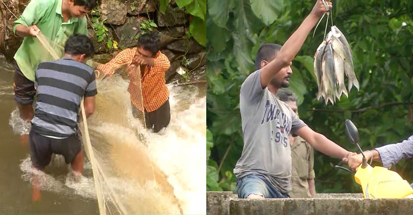 pathanamthitta-fishing pathanamthitta-fishing