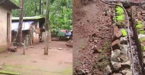 പകർച്ചവ്യാധികൾക്ക് പ്രവേശനമില്ല; മാതൃക തീർത്ത് കുടിൽപ്പാറ കോളനി പകർച്ചവ്യാധികൾക്ക് പ്രവേശനമില്ല; മാതൃക തീർത്ത് കുടിൽപ്പാറ കോളനി