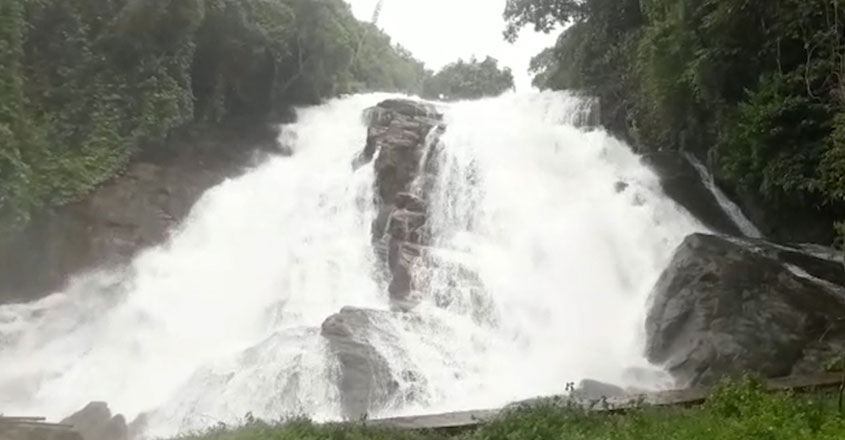 athirappilly-web athirappilly-web