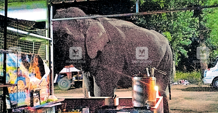 wayanad-tea-shop2 wayanad-tea-shop2
