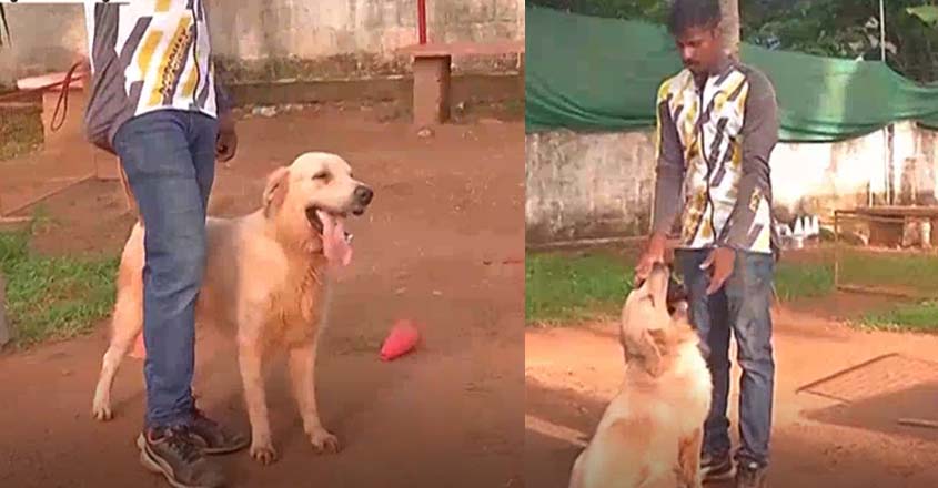 നായ്ക്കളോടുള്ള ഇഷ്ടം പ്രൊഫഷണൽ പരിശീലകനാക്കി; അരുണിൻറെ കഥ | Kerala News