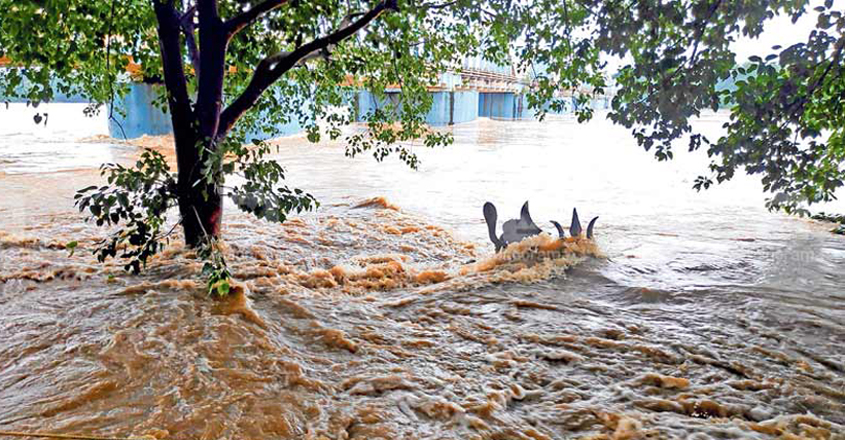 Bharathapuzha Flood