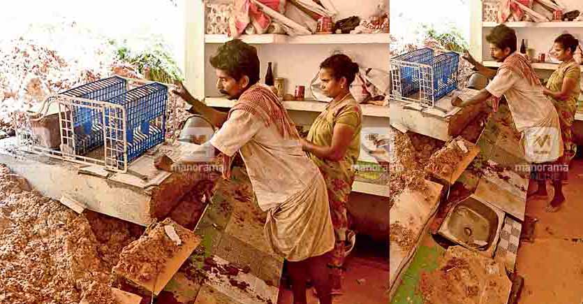 kannur-binoy1 kannur-binoy1