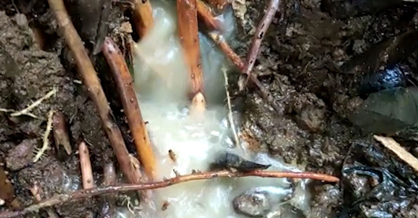 soil-web-new soil-web-new