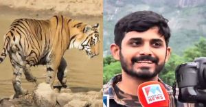 കാടും കടുവയും ചങ്ങാതിമാർ; കാനനഭംഗി ഒപ്പിയെടുത്ത് മഹേഷ് കാടും കടുവയും ചങ്ങാതിമാർ; കാനനഭംഗി ഒപ്പിയെടുത്ത് മഹേഷ്