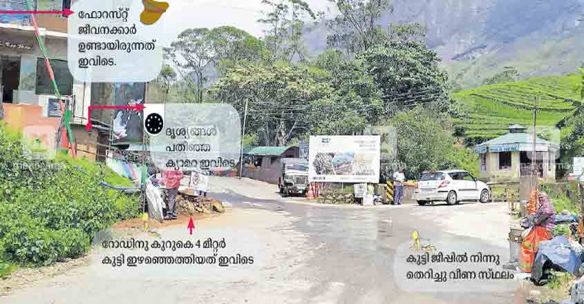 idukki-munnar-baby-news3 idukki-munnar-baby-news3
