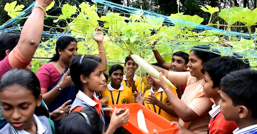 veg-students veg-students