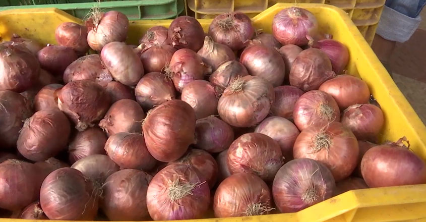 onion-wb onion-wb