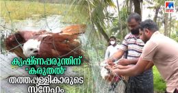 ഇരത്തേടി പറന്നെത്തി, വലയിലായി കൃഷ്ണപരുന്ത്; പിന്നെ നടന്നത്...! ഇരത്തേടി പറന്നെത്തി, വലയിലായി കൃഷ്ണപരുന്ത്; പിന്നെ നടന്നത്...!