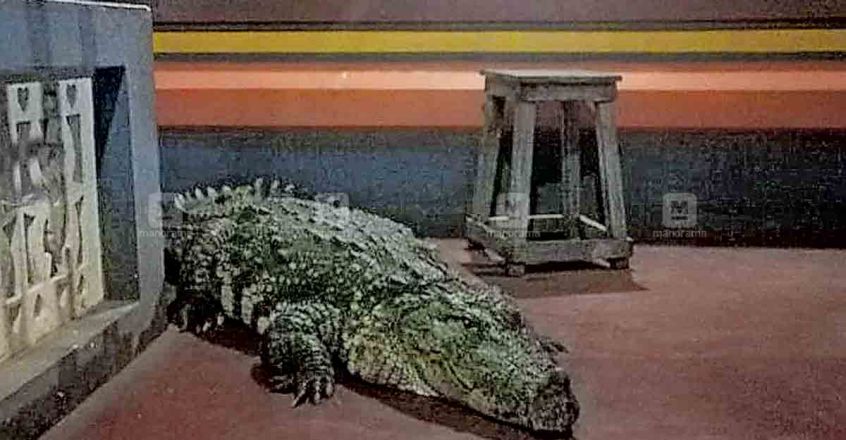 kasargod-anandhapuram-temple-image-845-440