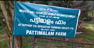 അട്ടപ്പാടി സഹകരണ ഫാമിങ് സൊസൈറ്റിയുടെ പദ്ധതിയില് സ്വകാര്യപങ്കാളിത്തം; വിവാദം അട്ടപ്പാടി സഹകരണ ഫാമിങ് സൊസൈറ്റിയുടെ പദ്ധതിയില് സ്വകാര്യപങ്കാളിത്തം; വിവാദം