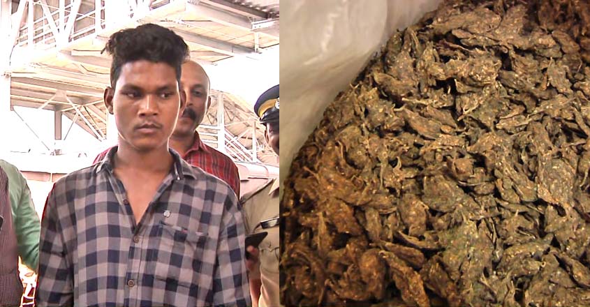 railgana railgana