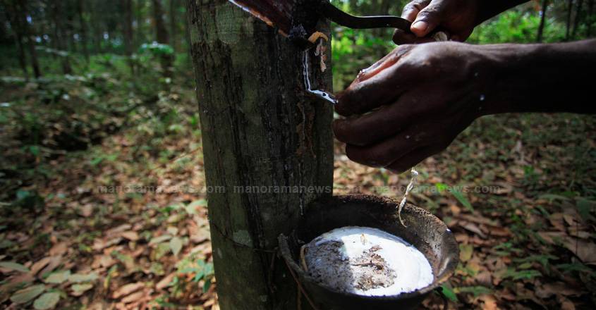RUBBER-IVORYCOAST/OUTPUT