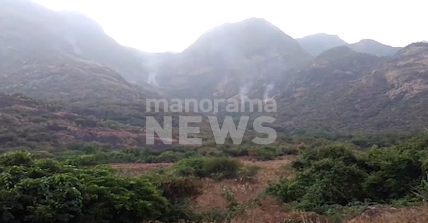 theni-web theni-web