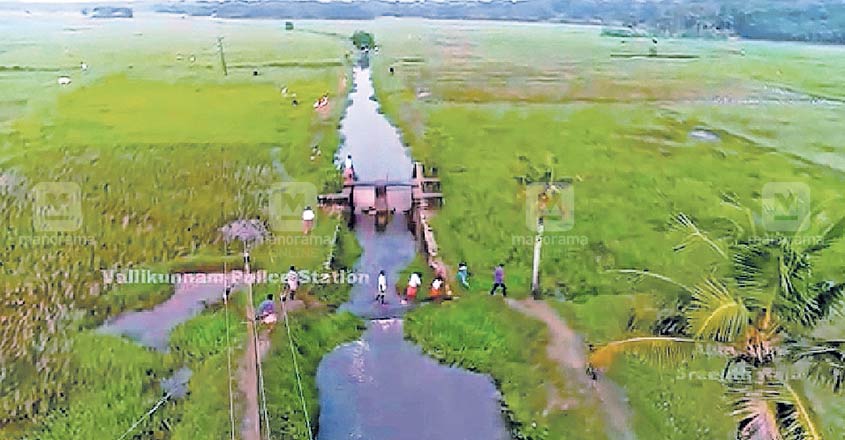 alappuzha-vallikunnam-drone-picture