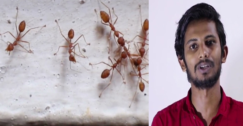 ant-wb ant-wb