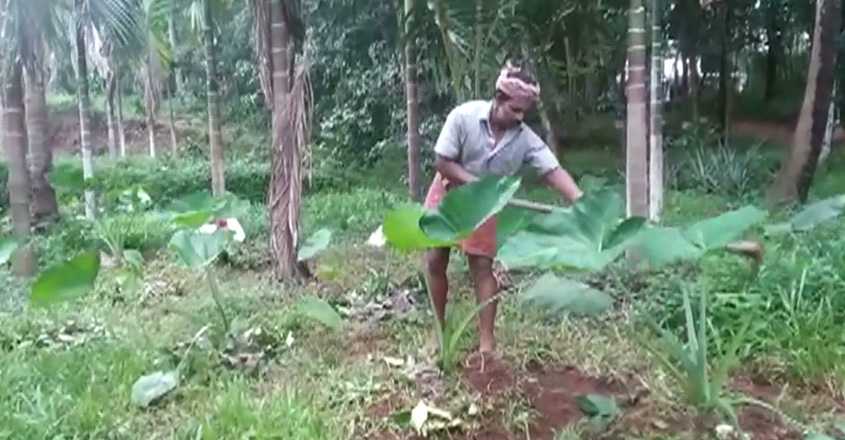 puthupadi puthupadi